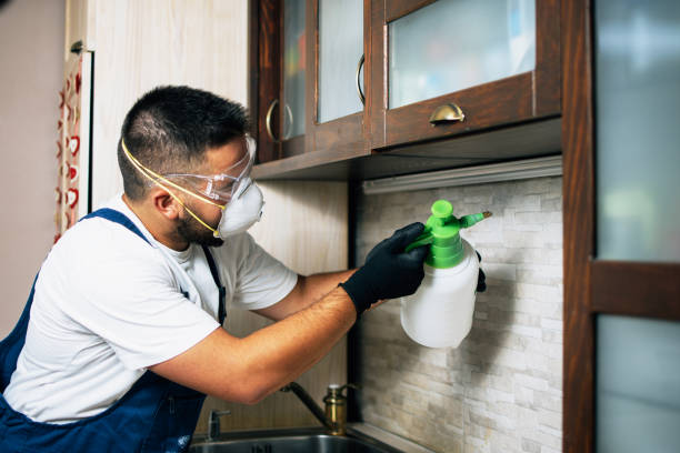 Best Pest Control Near Me  in Loyola, CA