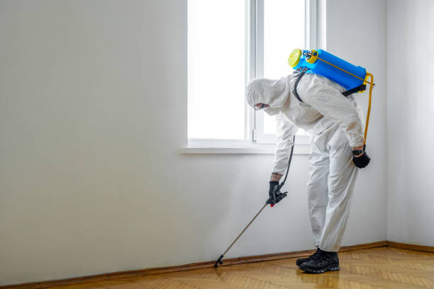 Best Pest Removal Services  in Loyola, CA