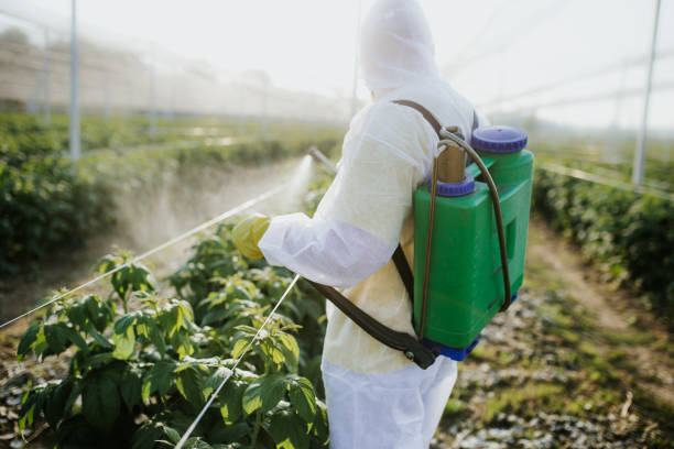 Best Pest Inspection Near Me  in Loyola, CA